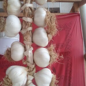 DUBLE EKSTRA BOY TAŞKÖPRÜ SARIMSAĞI 1KG