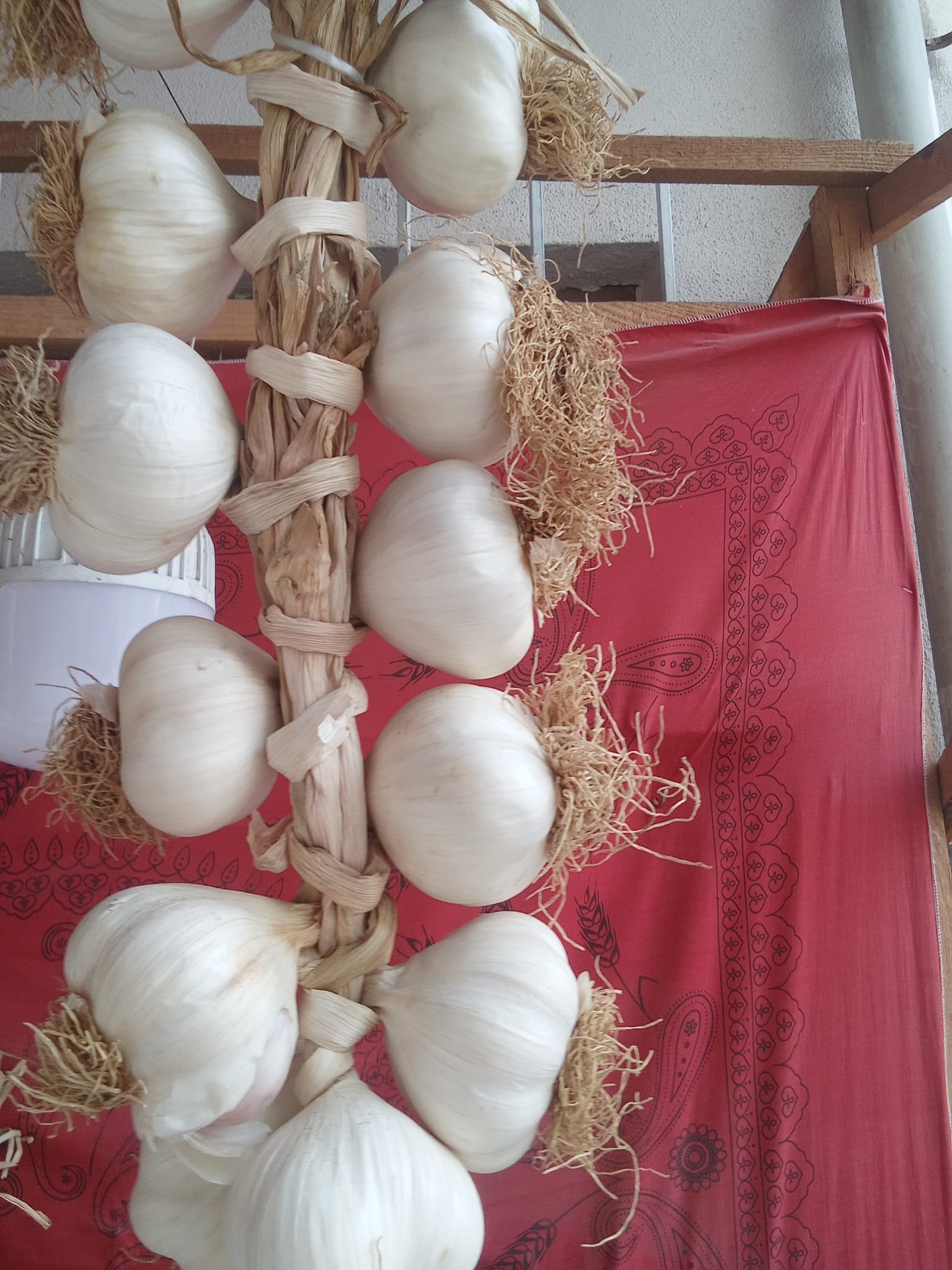 DUBLE EKSTRA BOY TAŞKÖPRÜ SARIMSAĞI 1KG