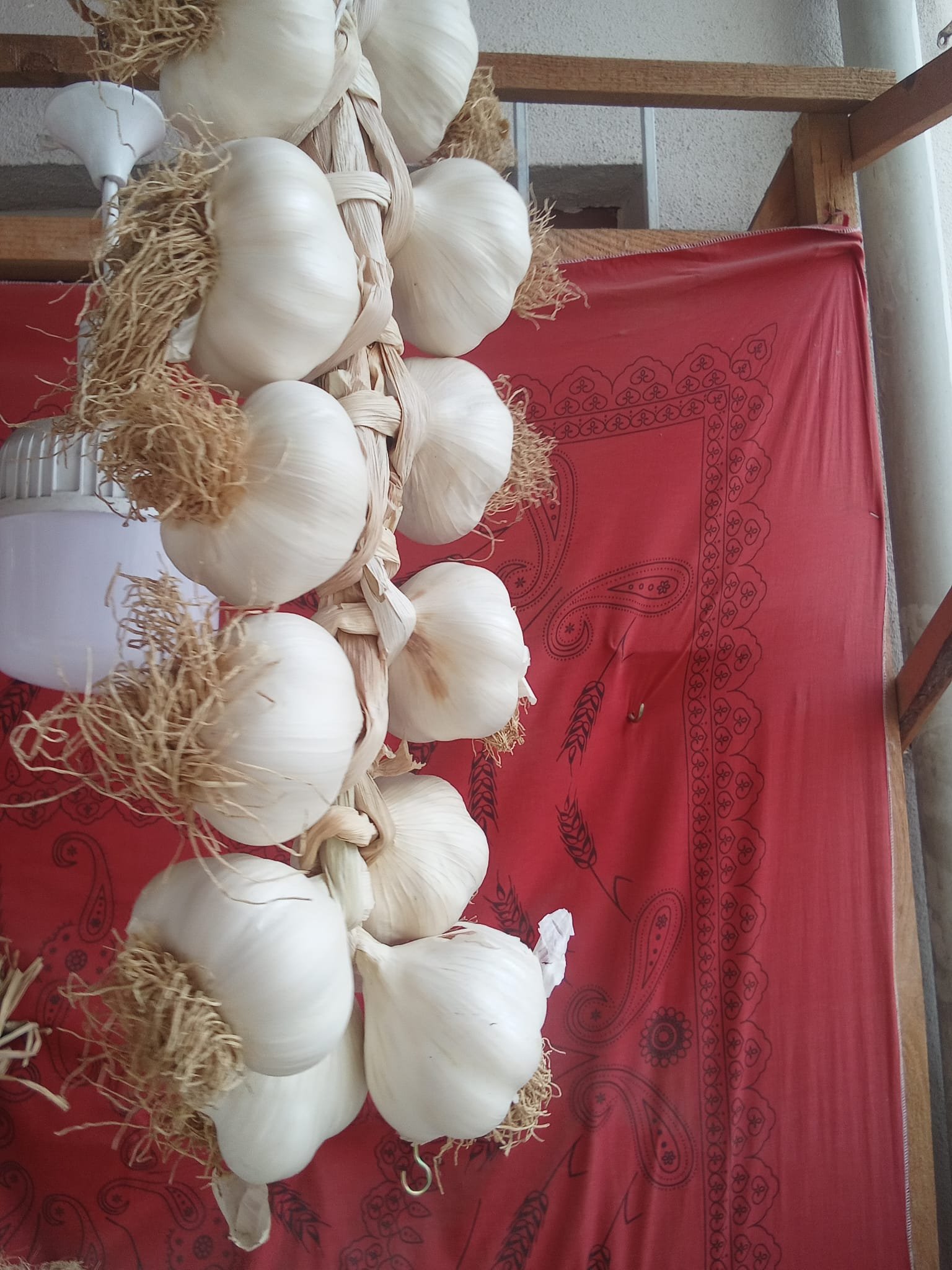 DUBLE EKSTRA BOY TAŞKÖPRÜ SARIMSAĞI 1KG - Görsel 2