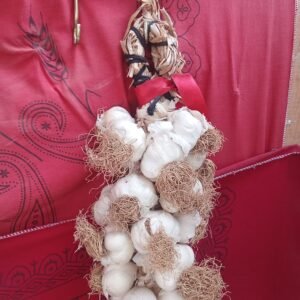 İRİ BOY TAŞKÖPRÜ SARIMSAĞI 1000 GR