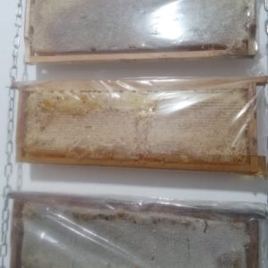 BAL ÇITA KASTAMONU 1000 GR